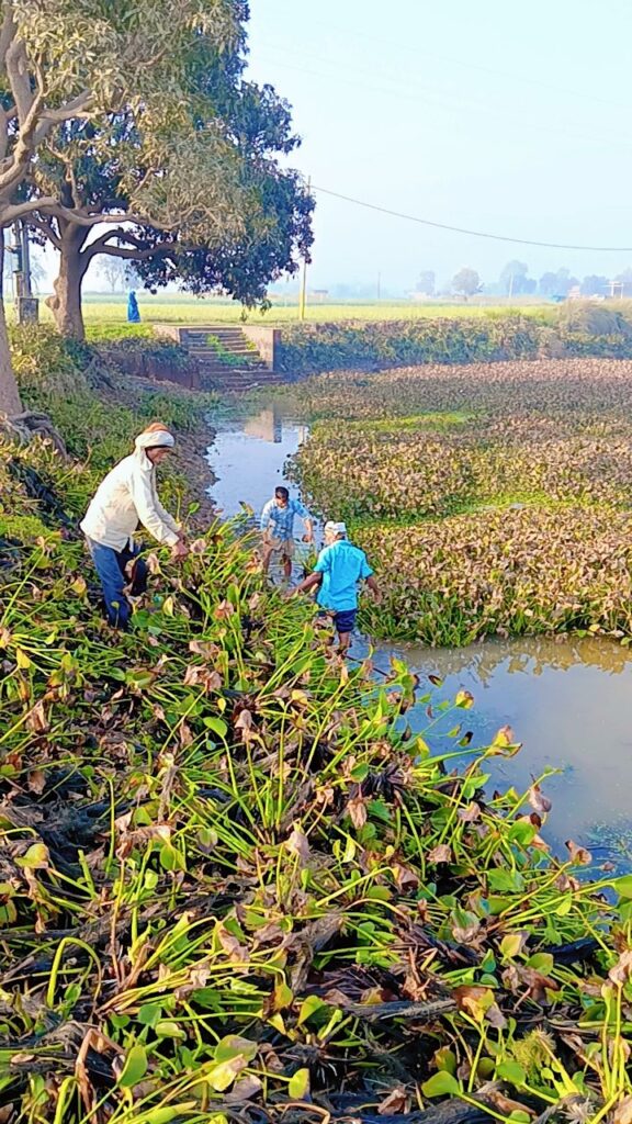 तालाब में जलकुम्भी की सफाई के लिए प्रधान के साथ उतरे ग्रामीण