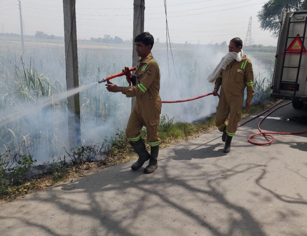 ईख के खेत में लगी भीषण आग, दमकल विभाग ने पाया काबू