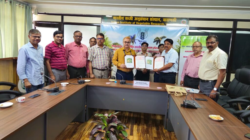 भारतीय सब्जी अनुसंधान संस्थान के बीजों पर कंपनियों का बढ़ता विश्वास