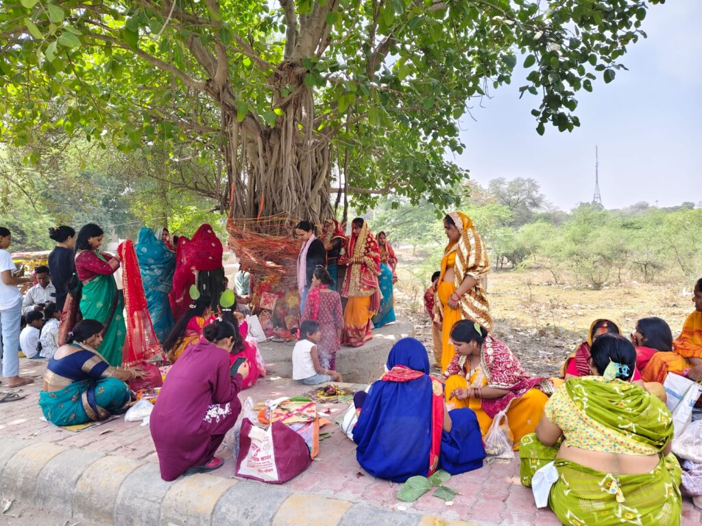 ओबरा नगर में वट सावित्री पूजा का उल्लास अखंड सौभाग्य और आस्था का प्रतीक बना वट वृक्ष