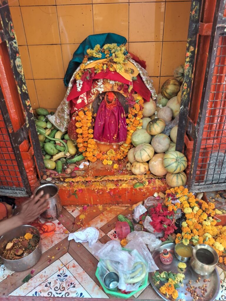 वट सावित्री व्रत : पति की लंबी आयु और अखंड सौभाग्य की कामना कर सुहागिनों ने की पूजा