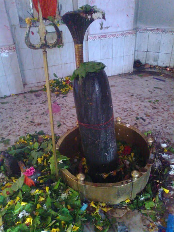 आस्था का अद्भुत केंद्र है ऊंचाडीह का श्री बाबा नागेश्वर नाथ धाम, जहां श्रद्धालुओं की हर मनोकामना होती है पूर्ण