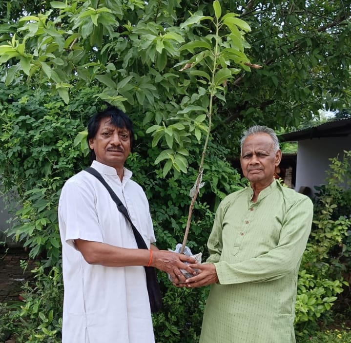सोनभद्र स्वामी रामदेव के संकल्प को साकार कर रहा पतंजलि परिवार ओबरा के गोठा टोला में हुआ औषधीय पौधरोपण