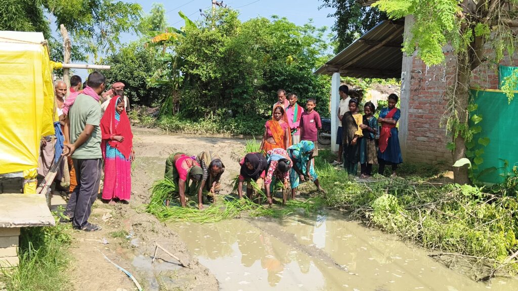सोनभद्र के बनबहुवार में 300 मीटर सड़क बनी ग्रामीणों की मुसीबत कीचड़ से बदहाल रास्ते पर धान रोपकर जताया अनोखा विरोध